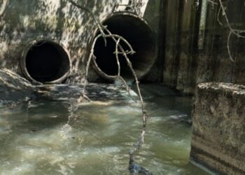 River polluted by 600 million litres of sewage