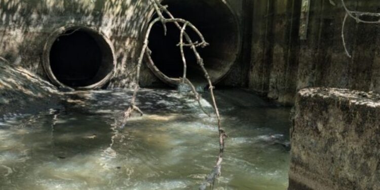 River polluted by 600 million litres of sewage