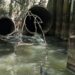 River polluted by 600 million litres of sewage