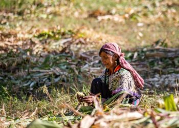 Waste plant creates income for unpaid women