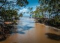 Brazil’s president defends oil discovery