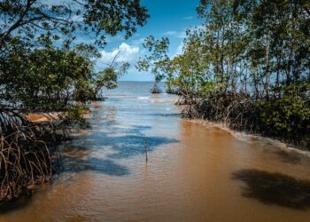 Brazil’s president defends oil discovery