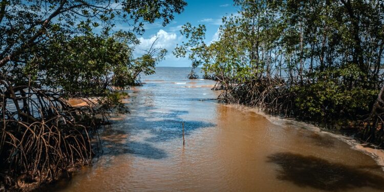 Brazil’s president defends oil discovery