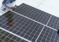Solar sparks life into food market
