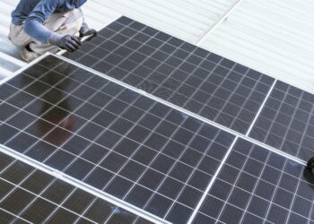 Solar sparks life into food market