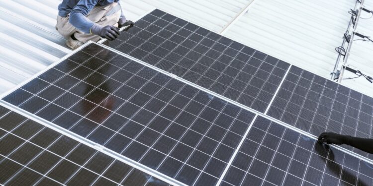 Solar sparks life into food market