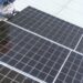 Solar sparks life into food market