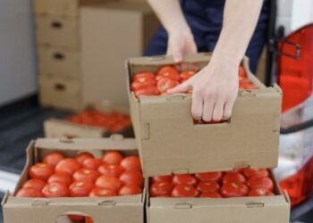 UK risks food supply issues