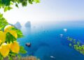 Europe sees record-breaking sea temperatures