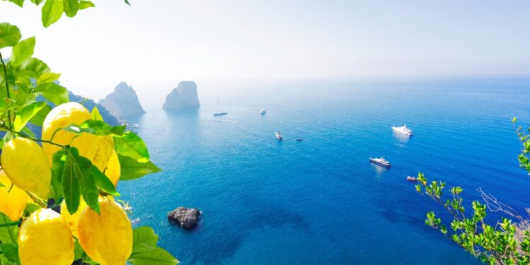 Europe sees record-breaking sea temperatures