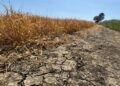 Farmers to receive drought support