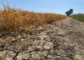 Farmers to receive drought support