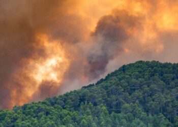 England warned over increased wildfire risk as Europe burns